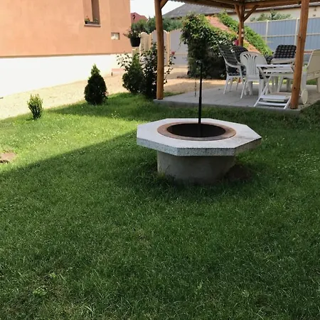 Bandi Vendeghaz *